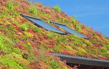 Ryehill living roof systems