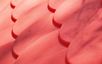 Ryehill plastic roof costs